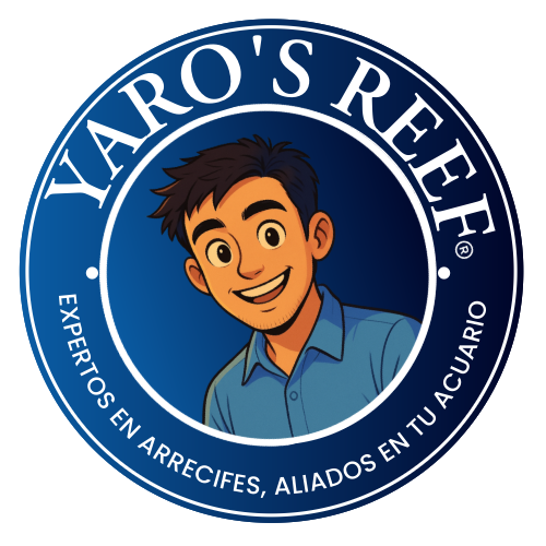 Ask Yaro
